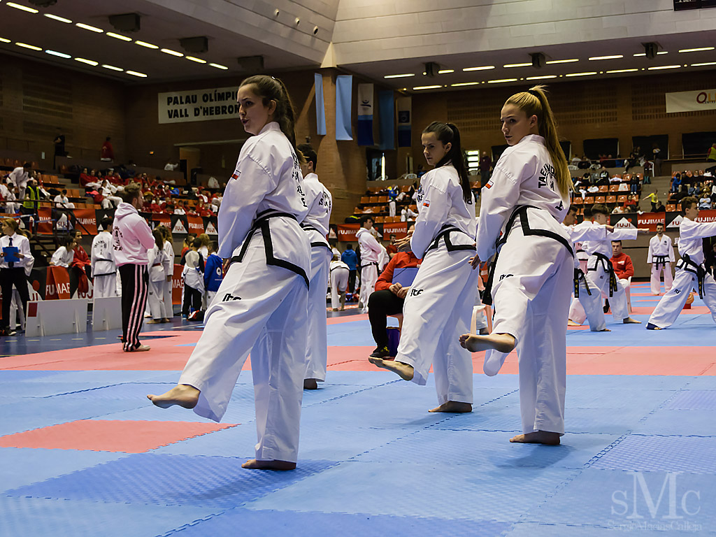 OPEN BARCELONA FUJI MAE CUP 2017_DSC9126_0171.JPG